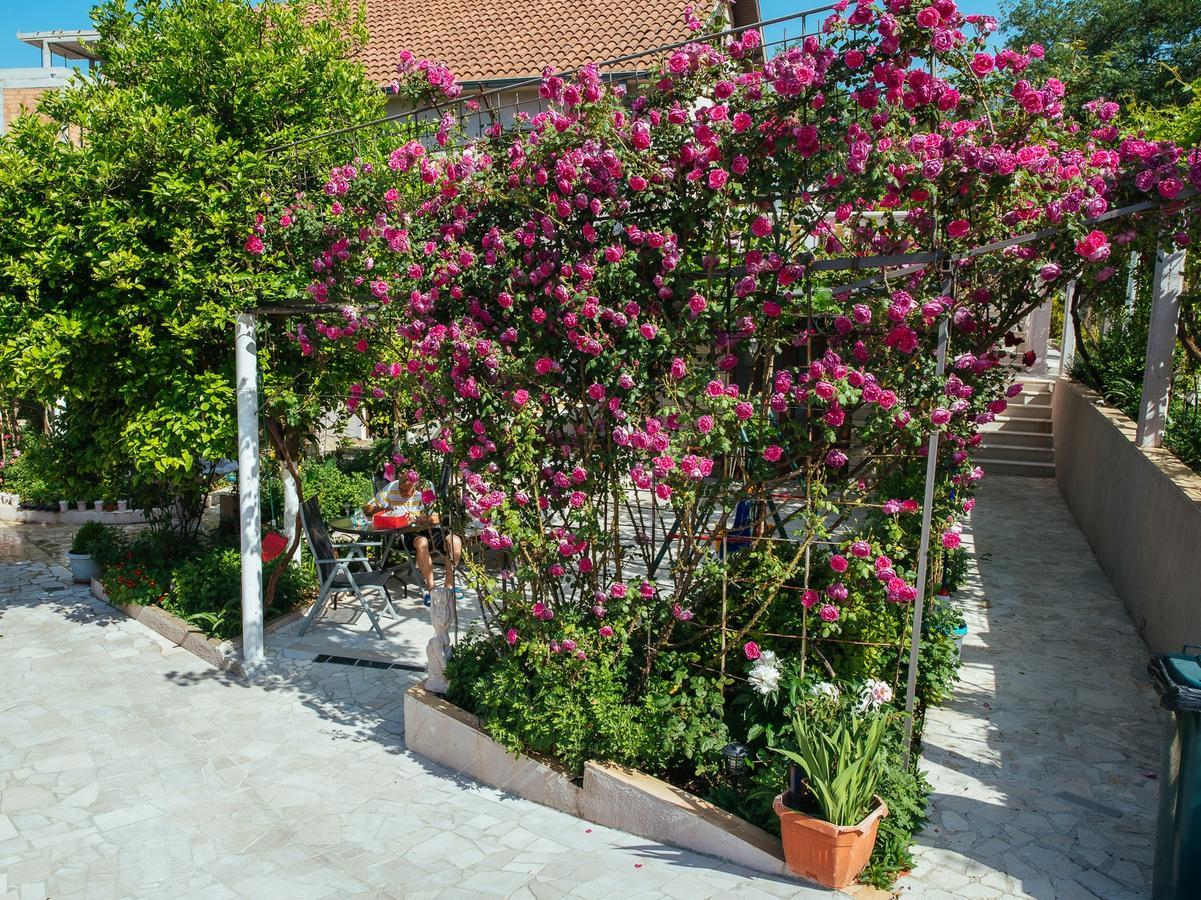 Azure Adriatic Apartment Kotor