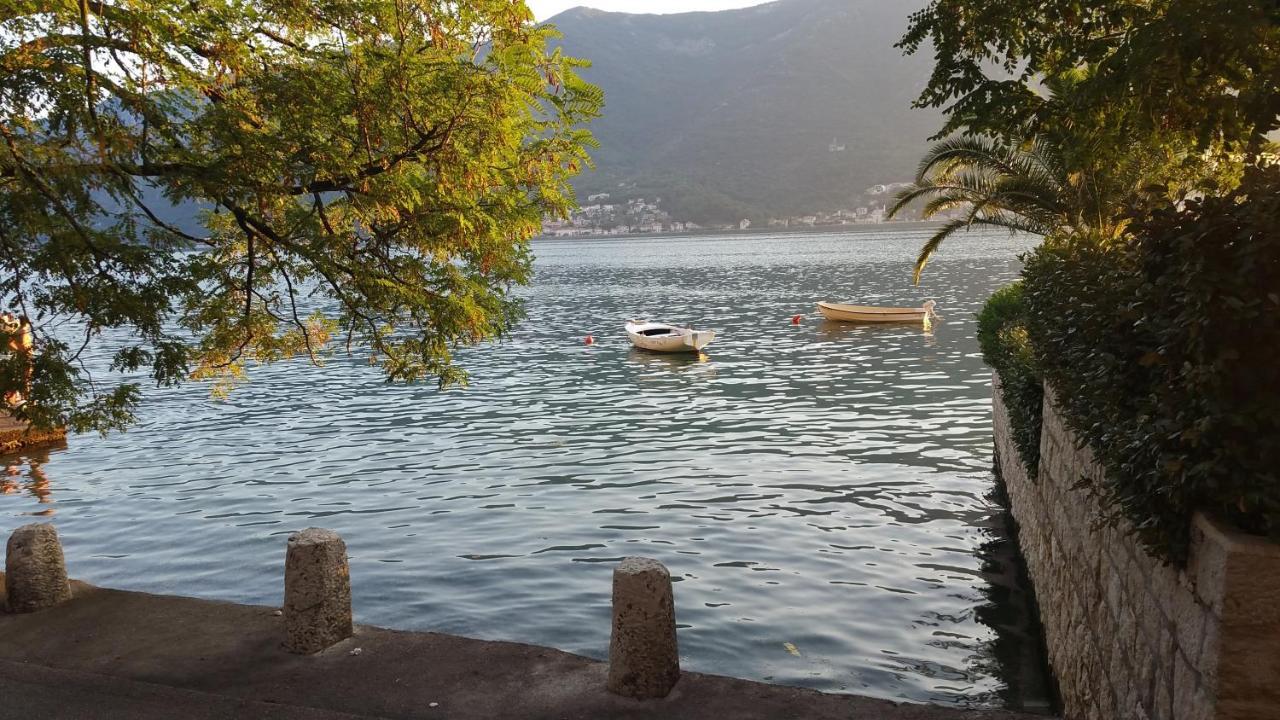 Azure Adriatic * Kotor